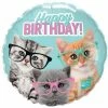 Funny Balloons Usa Birthday Kittens In Glasses 19286
