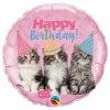 Funny Balloons Usa Birthday Party Kittens 57623
