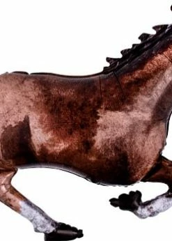 Funny Balloonsusa Galloping Horse 3954301 Foil Balloons