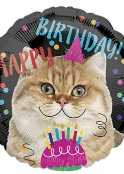 Funny Balloons Usa Happy Cat Birthday 3539801