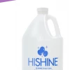Funny Balloons Usa Accessories Hi-Shine 96 Oz