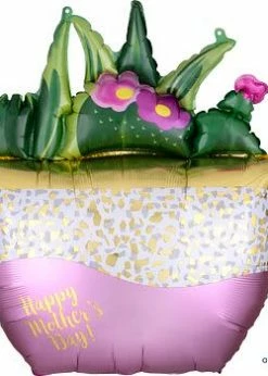 Funny Balloons Usa Happy Mother's Day Succulents 4083801