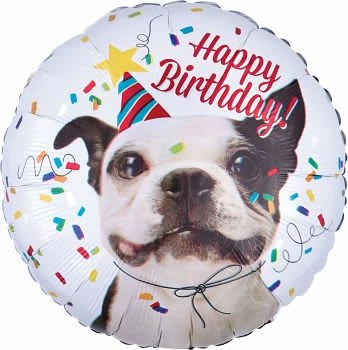 Funny Balloonsusa Foil Balloons Happy Birthday 3539901 3 Funny Balloonsusa Foil Balloons Happy Birthday 3539901